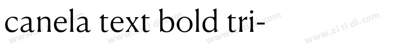 canela text bold tri字体转换